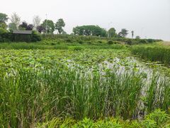 -梁子湖东篱老屋生态庄园