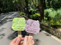 -新昌大佛寺文化旅游区