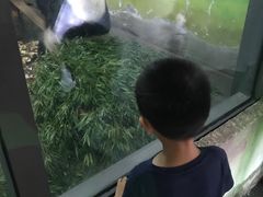 -无锡动物园·太湖欢乐园