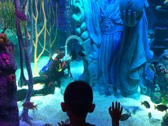 -沈阳海洋探索中心