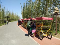 -上海长兴岛郊野公园