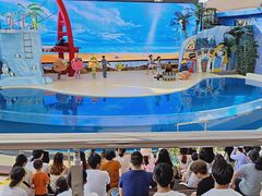 -三亚海昌梦幻海洋不夜城