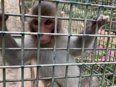 -南京金牛湖风景区