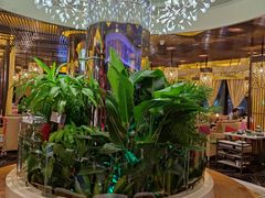 -润园四季椰子鸡火锅(海上世界店)