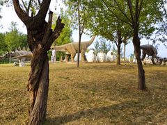 -西部长青自然儿童乐园