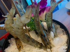 -捞围鲜·港式打边炉(海阳路店)