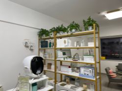 -凡碧诗毛孔收细
