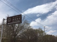 -罗布林卡