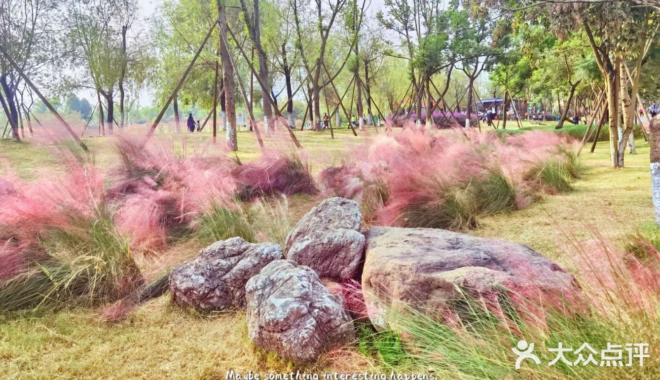 和秋天的约会，抓住秋天的尾巴[胜利]