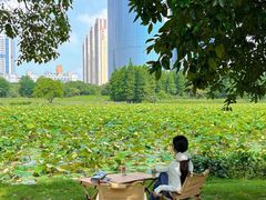 -艾溪湖湿地公园