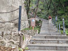 -王顺山国家森林公园