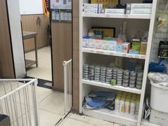 -米苏动物医院·犬猫专科·骨科外科内窥镜