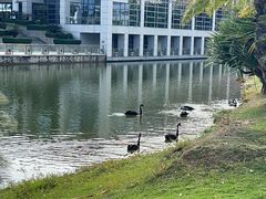-厦门国家会计学院