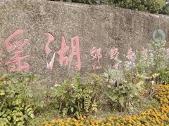 -瑶湖郊野森林公园