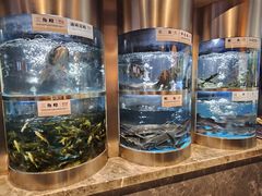 -老船舫·现做活鲜鱼馆(东郊记忆店)