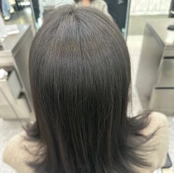 -YESIDO椰岛造型