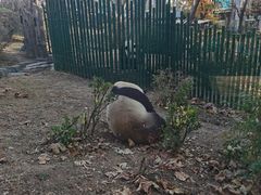 -大连森林动物园