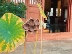 -潜山国家森林公园