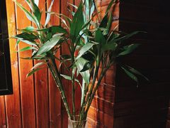 -润生源足道·SPA(个园店)