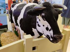 -红星前进面包牛奶公司(君太店)