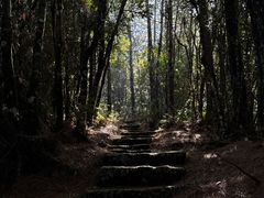 -腾冲云峰山