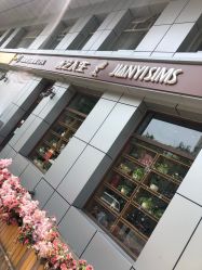 -T.1 hair salon烫染接发