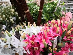 -宜家家居(哈尔滨商场店)