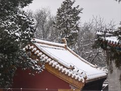 -颐和园