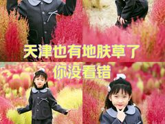 -天津东丽湖风景区