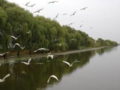 -焦岗湖旅游度假区