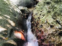 -七仙岭温泉国家森林公园