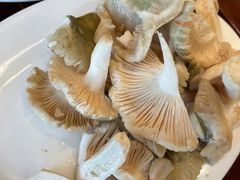 -滇菌王·野生菌山宴(宝海店)