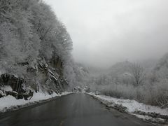 -青峰峡国家森林公园