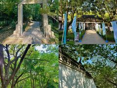 -上海佘山国家森林公园天马山园