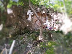 -上海佘山国家森林公园西佘山园