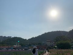 -玫瑰海岸文化旅游度假区