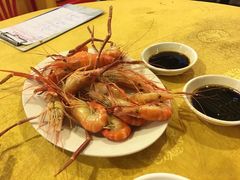 -鸿达渔港