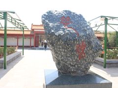 -神州牡丹园