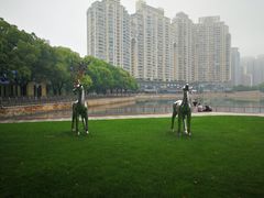 -西北湖绿化广场
