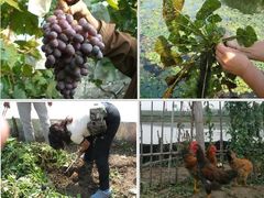 -乡乐园蟹庄·阳澄湖农家乐