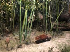 -吉林省自然博物馆