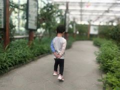 -世界地热博览园