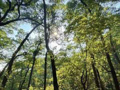 -广州市白云山风景名胜区