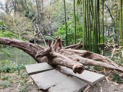 -成都杜甫草堂博物馆
