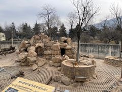 -西安秦岭野生动物园