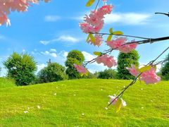 -武汉紫薇都市田园