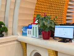 -碧中海汤泉汗蒸酒店