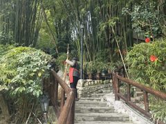 -竹海听涛生态山庄