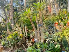 -国家植物园南园