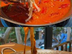 -阳阳老火锅(小南门店)